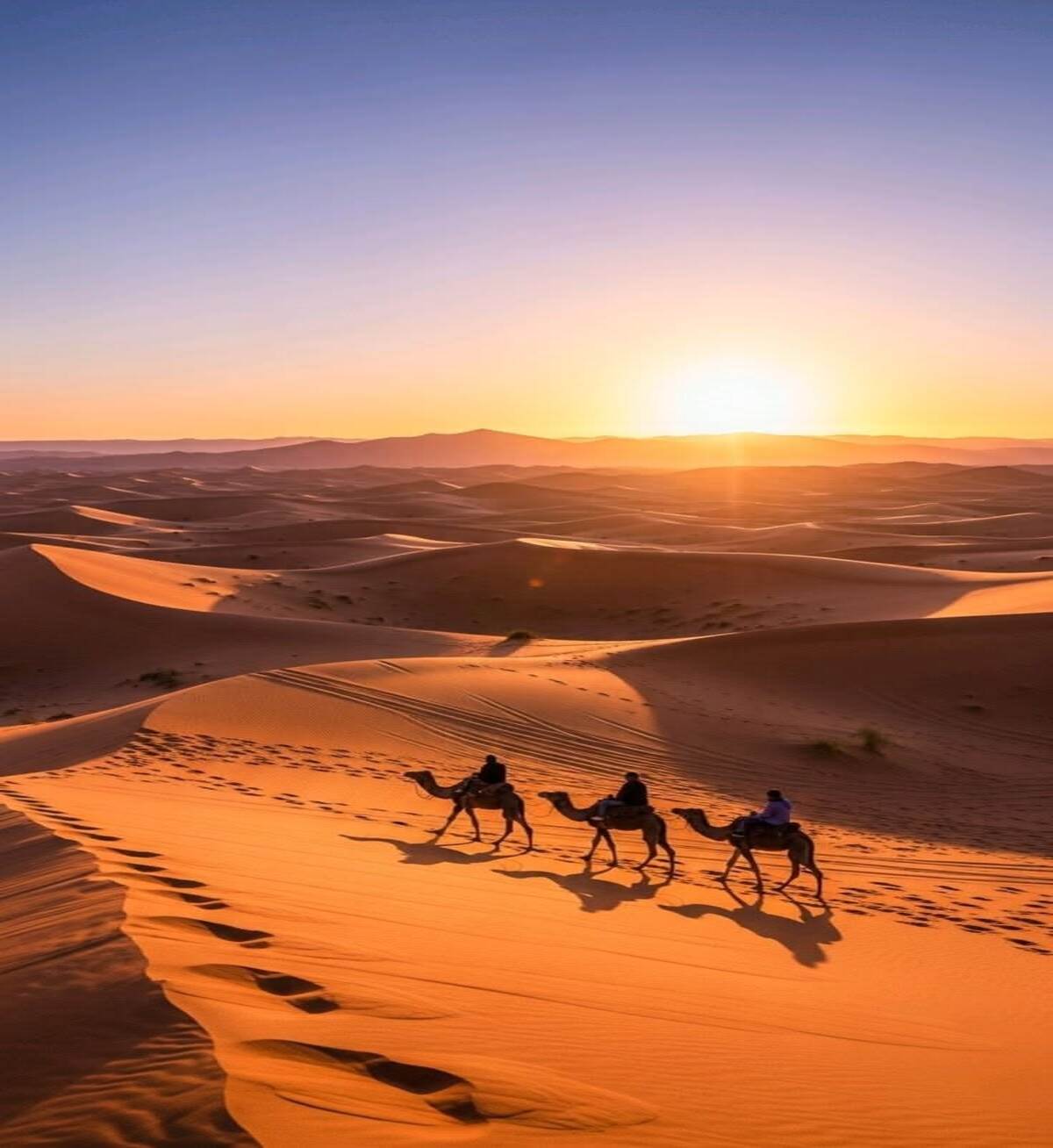 desert tour from Marrakech how many days