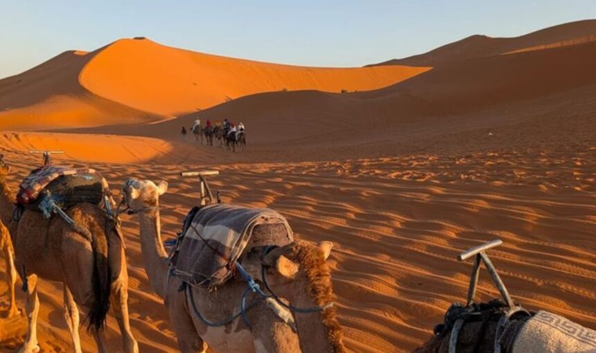 Morocco Camel Trek: The Complete Honest Guide for 2026
