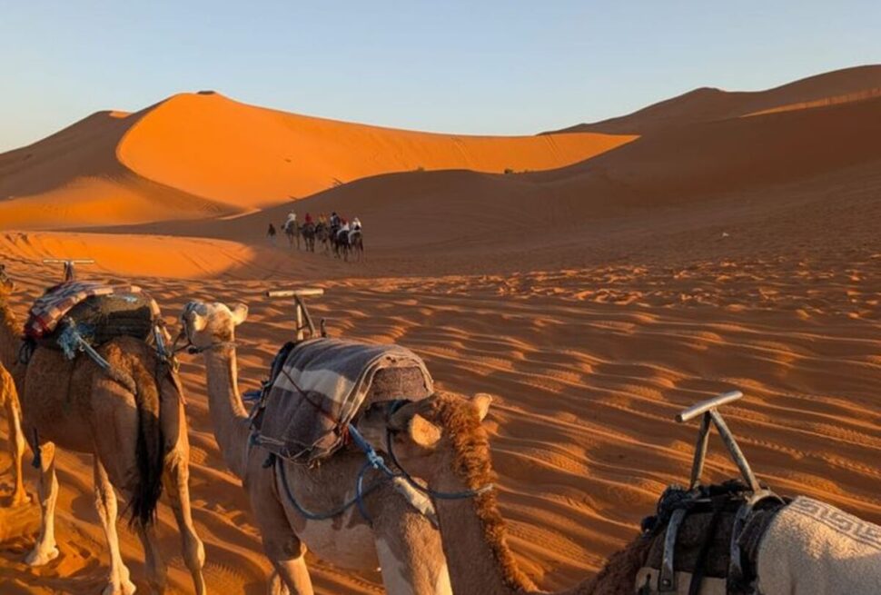 morocco-camel-trek-erg-chebbi-sunset.jpg