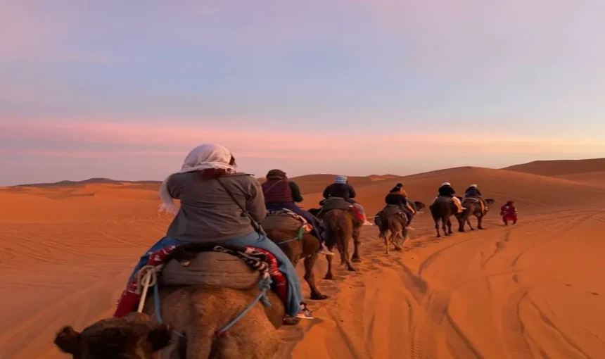The Ultimate Sahara Desert Morocco Guide (2026): Everything You Need to Know Before You Go