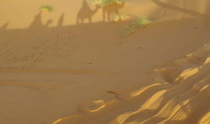 Private Morocco Desert Tours for Families: Best Itineraries, Prices & Tips