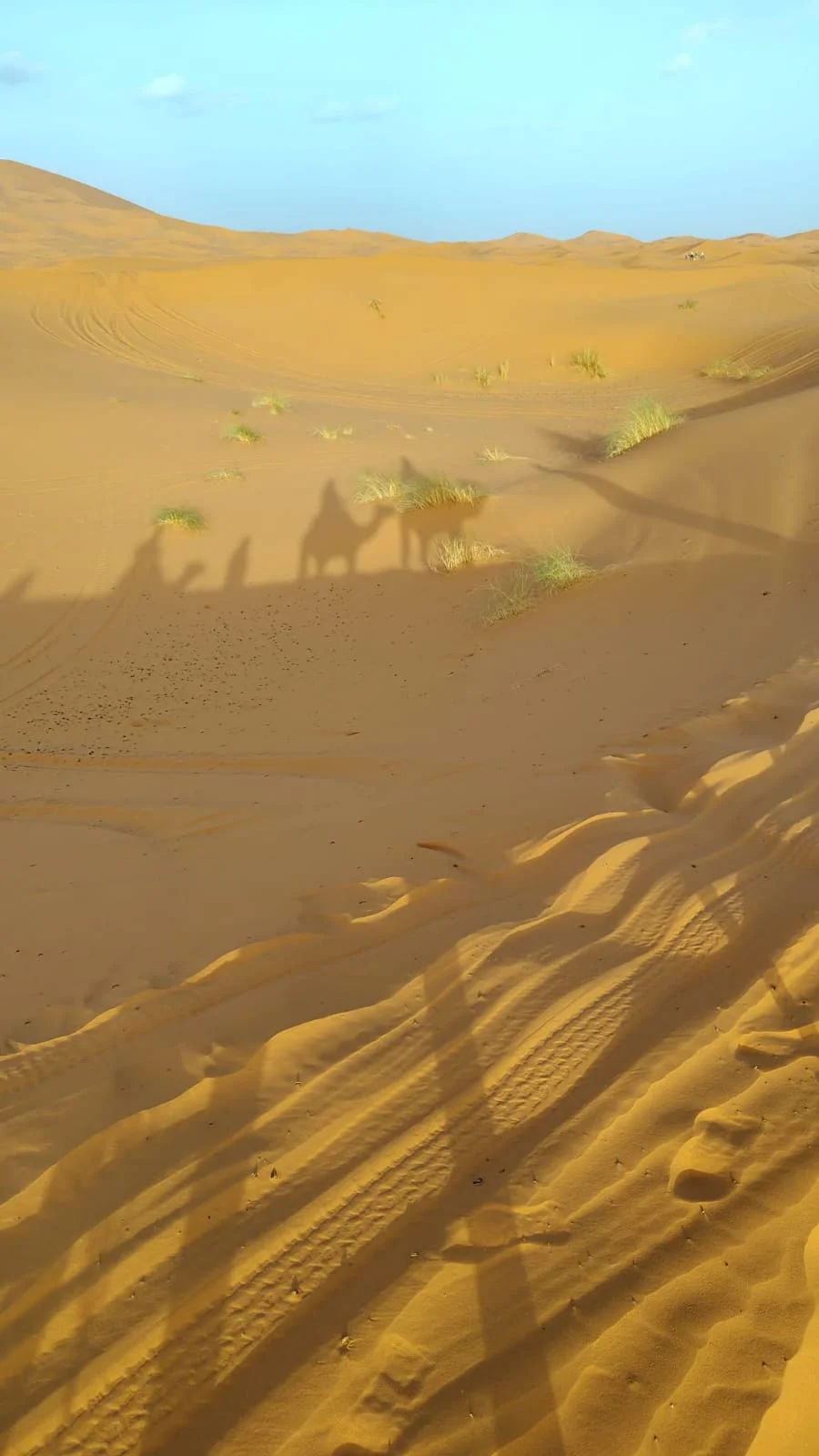 Private Morocco Desert Tours for Families